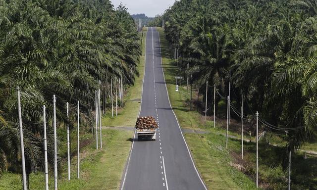 Bantuan Jalan Untuk Kebun Sawit Petani di Siak Jadi Prioritas