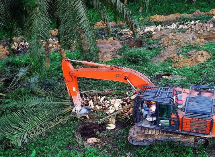 Hingga September 2022, Realisasi PSR Baru 1,21%
