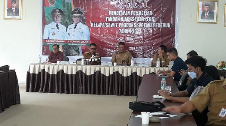 Harga Resmi TBS Kalteng Hanya Bergeser Sedikit