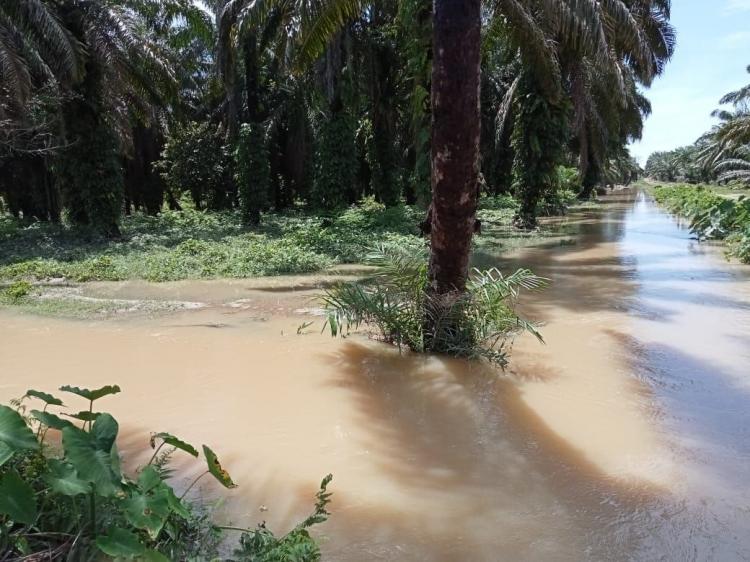 Musim Banjir Bikin Petani Sumbar Gelisah