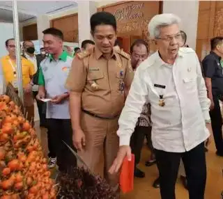Investor Perkebunan Silahkan Masuk, Masih Tersisa Lahan Luas di Daerah ini