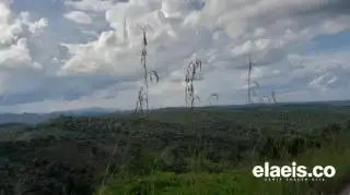 Waduh! Hutan Bukit Suligi Disulap Jadi Kebun Sawit