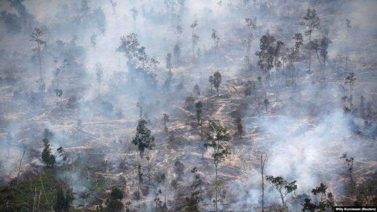 Pakar Kehutanan: Kalau Pengukuhan Tak Selesai, Timbulkan Konflik