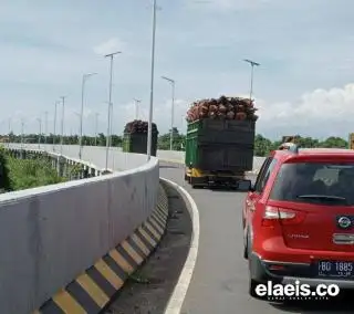 Truk Sawit Lintas Provinsi Boleh Lewati Jalan Bengkulu, Tapi Kapasitasnya 15 Ton