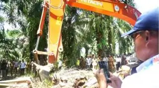 Jangan Pasif, Petani Dapat Hibah BPDPKS Hanya Jika Mengajukan Kebunnya