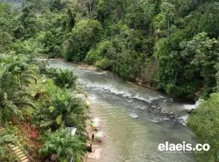 Pengunjung Nilai Kebun Sawit Ganggu Pemandangan Air Terjun Napal Jungur