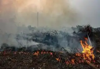 Antipasi Karhutla di Kemarau Panjang 2023, DLK Riau Minta Kesiapsiagaan Sejumlah Pihak
