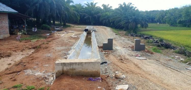 PUPR Bantah Areal Persawahan Berubah Jadi Kebun Sawit Karena Irigasi