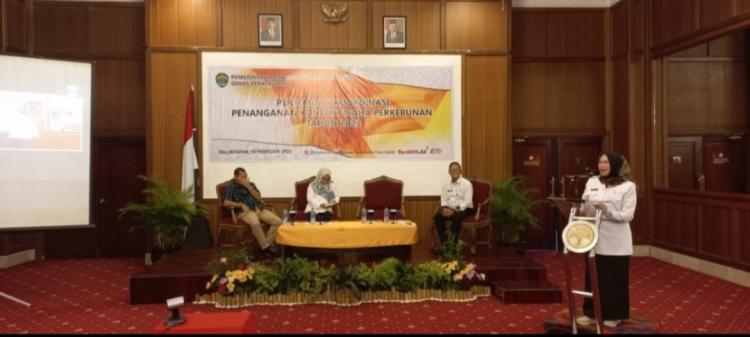 Di Kaltim Terjadi 48 Konflik yang Melibatkan 42 Perusahaan Perkebunan
