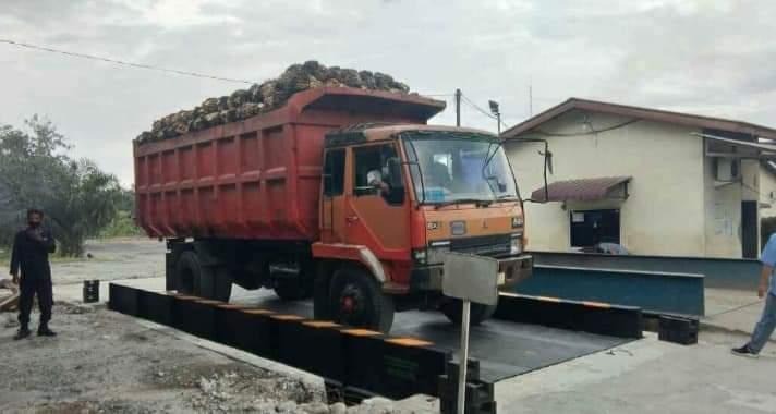 Timbangan Sawit di PKS Diduga Banyak yang Tidak Akurat