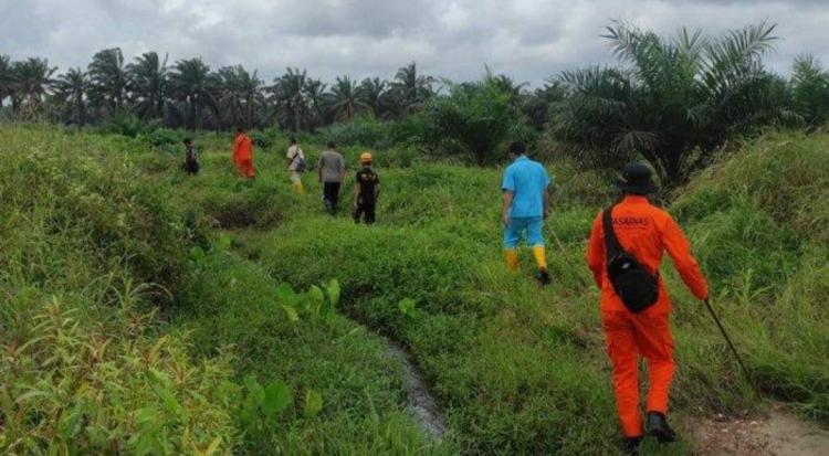 Tim SAR Diturunkan Cari Bocah Perempuan yang Hilang di Kebun Sawit