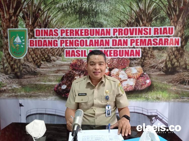 Harga Jual CPO di Riau Merosot, Ini Daftarnya