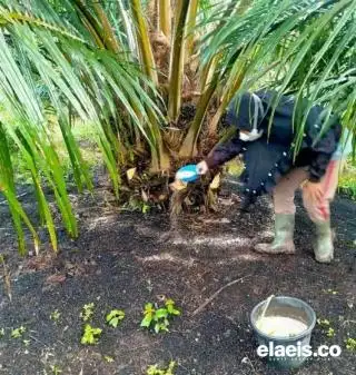 Nilai Tukar Petani Riau Maret 2023 Naik 4,35 Persen