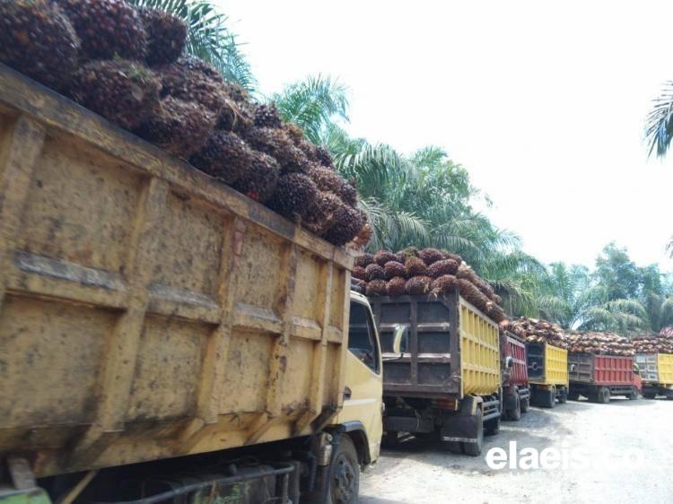 Sejumlah PKS di Bengkulu akan Kembali Beroperasi, Dimulai 25 April