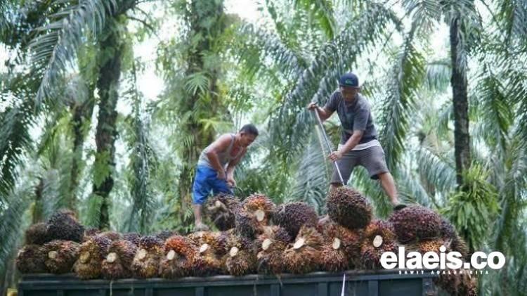 Nilai Tukar Petani April 2023 Turun 0,34 Persen