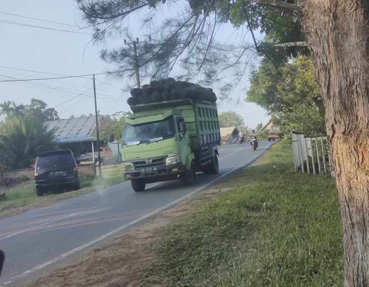 Sanksi Terhadap Truk ODOL Harus Timbulkan Efek Jera