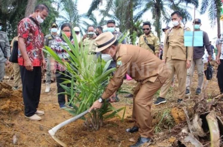 Banyak Dana di BPDPKS Belum Terserap, Pemda di Kalbar Diminta Sigap