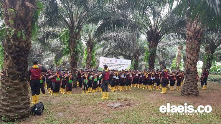 Sisa 3 Hari Lagi, Sudah 3.150 Peserta Lolos Seleksi Administrasi Beasiswa BPDPKS