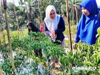 Melalui 'Irama', Bupati Perempuan Termuda Ini Dukung Inovasi Pangan Berbasis Kearifan Lokal