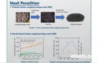 Indonesia Bisa Hasilkan Energi Listrik 5 Juta MWh dari POME. Karbon Nanopori Cangkang Sawit 'Pemantik'nya