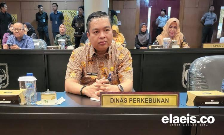 Harga Jual CPO di Riau Meroket, Ini Daftarnya