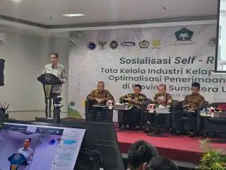 Tentang Satgas Tata Kelola Sawit, Pakar: Bakal 'Menabrak Tembok' Kalau...