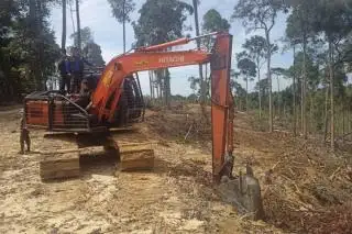 Kasus Perambahan Kawasan Hutan untuk Kebun Sawit, DLHK Riau akan Panggil Pemilik Alat Berat
