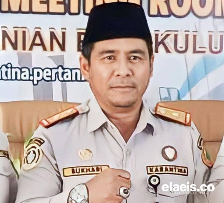 Ekspor Bungkil Sawit di Pelabuhan Bengkulu Kosong, Pengusaha Kirim ke Luar Negeri Lewat Riau