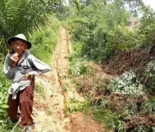 Sudah 15 Tahun Akses Petani Sawit di Daerah Ini Tak Tersentuh