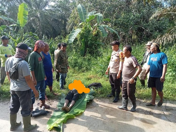 Buruh Sawit Ditemukan Tewas Tergeletak di Pinggir Jalan Bungaraya Siak