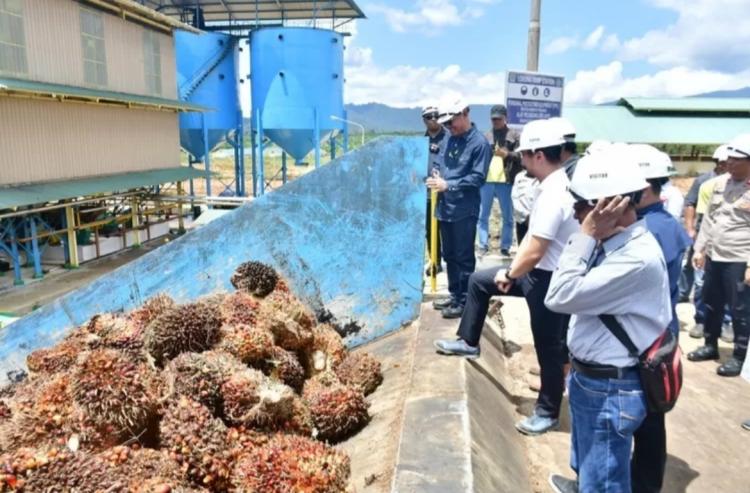 Pabrik CPO Pertama di Pohuwato Resmi Beroperasi