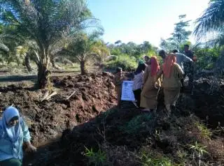 Bengkulu Utara Berharap DBH Sawit Tambal Penurunan APBD 2024