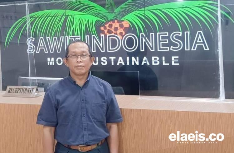 254 Hektar Kebun Kelapa Sawit di Paser Diremajakan