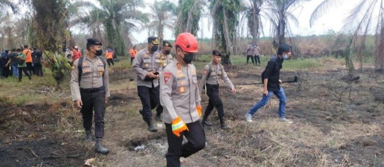 Buka Kebun Sawit 5 Hektar, Anak Beranak Ditangkap