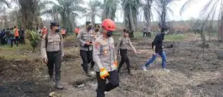 Buka Kebun Sawit 5 Hektar, Anak Beranak Ditangkap