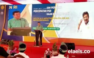 Sepanjang 2023, Sinarmas Agribusiness and Food Targetkan PSR Hingga 3.884 Hektar di Riau