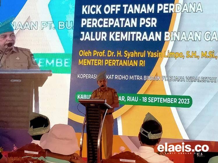 Sudah Diterbitkan 4.190 Rekomtek untuk Program PSR di Riau Tahun Ini