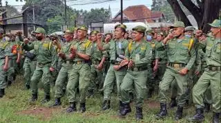 Honor Linmas di Mukomuko Masih Rp200 Ribu/Bulan, Tugasnya Berat hingga Menjaga Kebun Sawit Warga