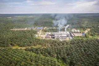 Mitigasi Karhutla, PT Tebo Indah Selalu Pantau Areal Kebun Lewat Drone