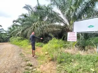 Pasang Portal, Perusahaan Sawit ini Dituding Serobot Jalan Milik Pemerintah