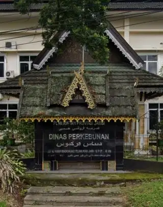 Masih Banyak PKS di Jambi Tak Punya Kebun Inti, Solusinya Kemitraan