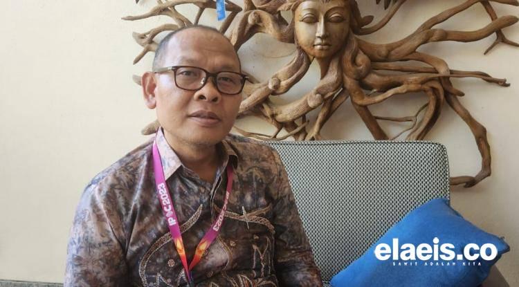 Pemutihan Perkebunan Sawit atau Kegagalan Kelola Kawasan Hutan