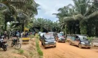 Penjarahan Sawit Marak di Kalteng, Aparat Didesak Sikat Penadahnya