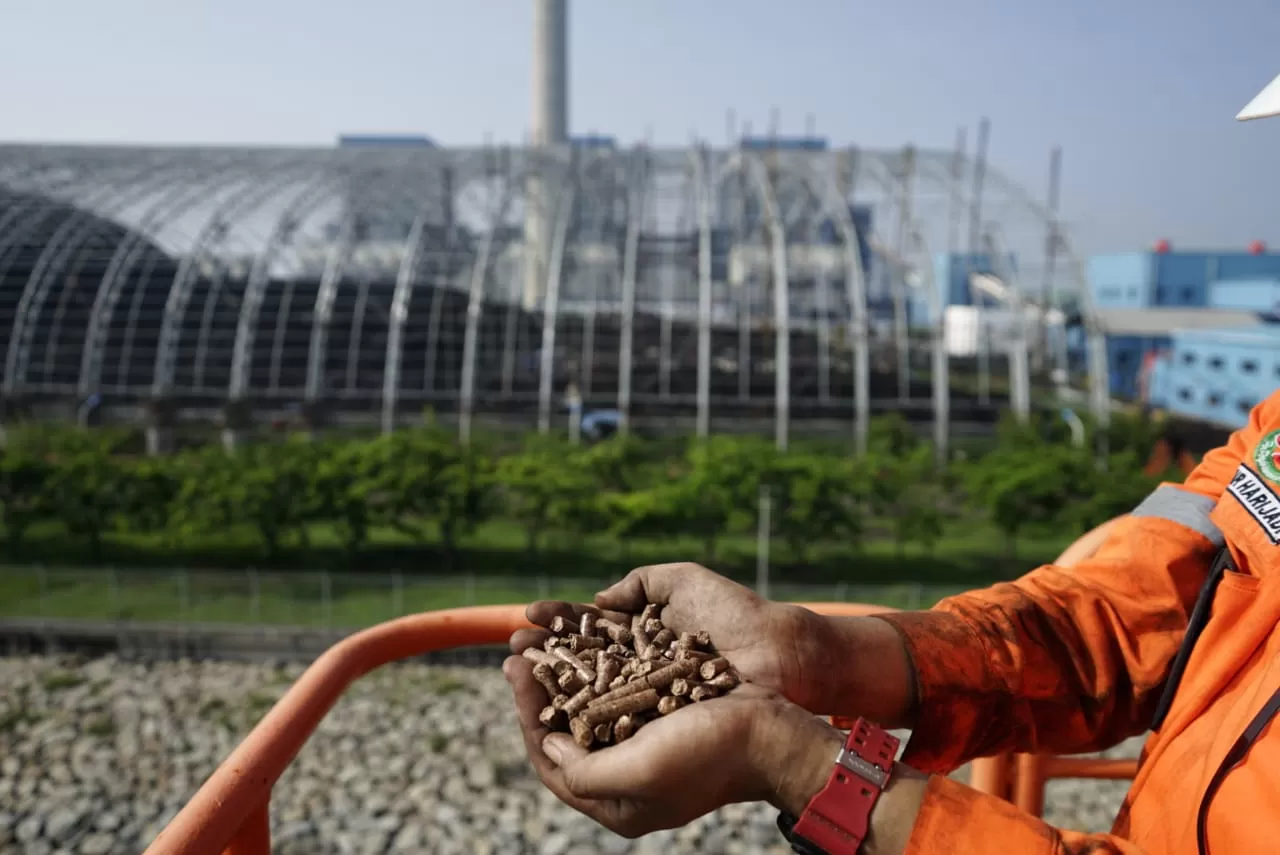Teknologi Co-Firing dengan Biomassa Mampu Tekan Emisi 1,05 Juta Ton CO2