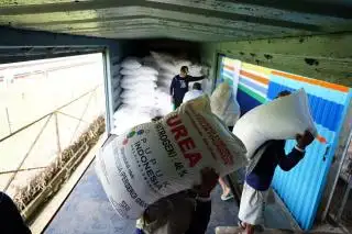 Stok di Awal Tahun Dijamin Aman, Harga Pupuk Subsidi Tidak Ada Kenaikan