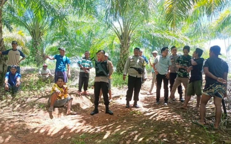 241 Konflik Agraria Terjadi Sepanjang 2023, Perkebunan Sawit Jawaranya