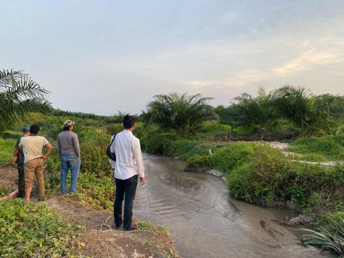 Cari Timah, 3 Penambang Obok-obok Kebun Sawit PT GSBL