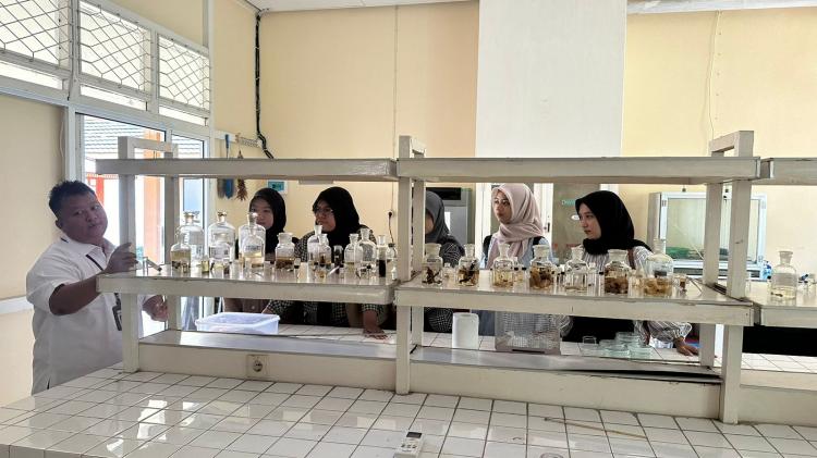Minat Gen Z Pada Perkebunan Dirangsang Lewat Program Internship