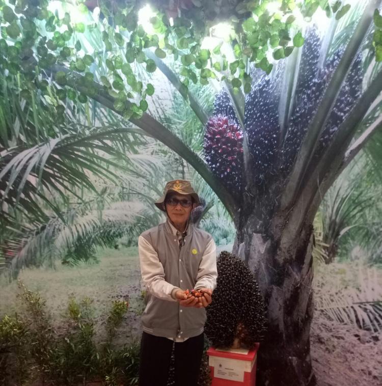 Peredaran Bibit Abal-Abal Harus Dihentikan, Kalau Enggak...