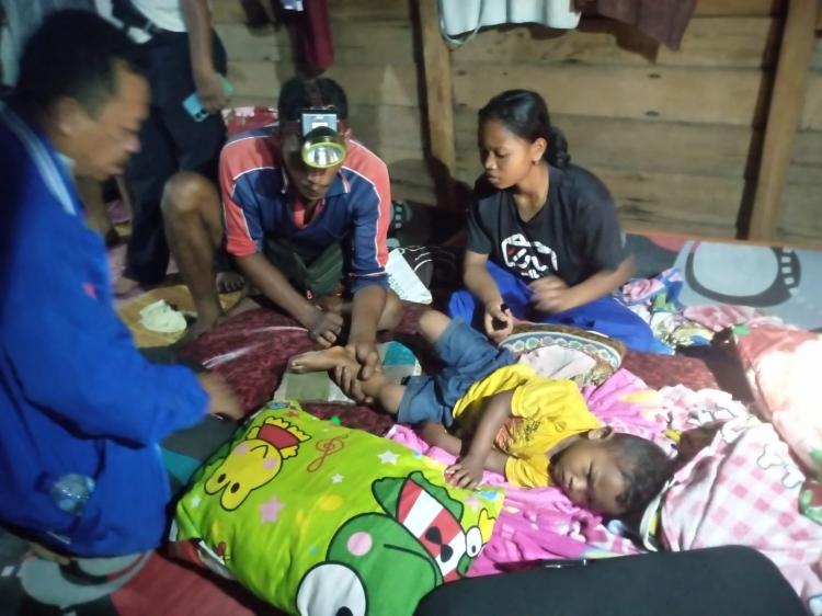 Box Trap Dipasang, Harimau yang Terkam Anak Pekerja Sawit akan Ditangkap
